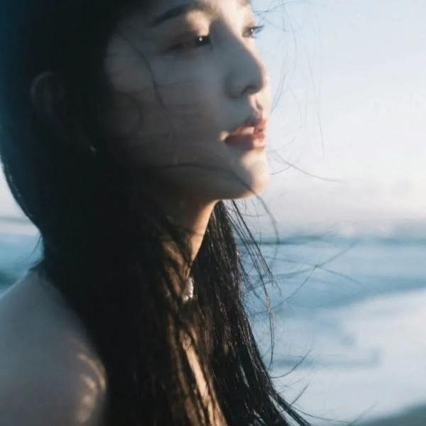 鲨颤海报