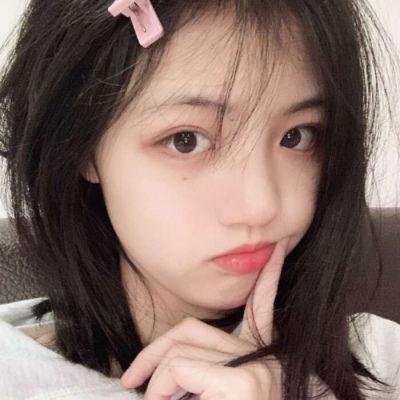 灵通汪星人海报